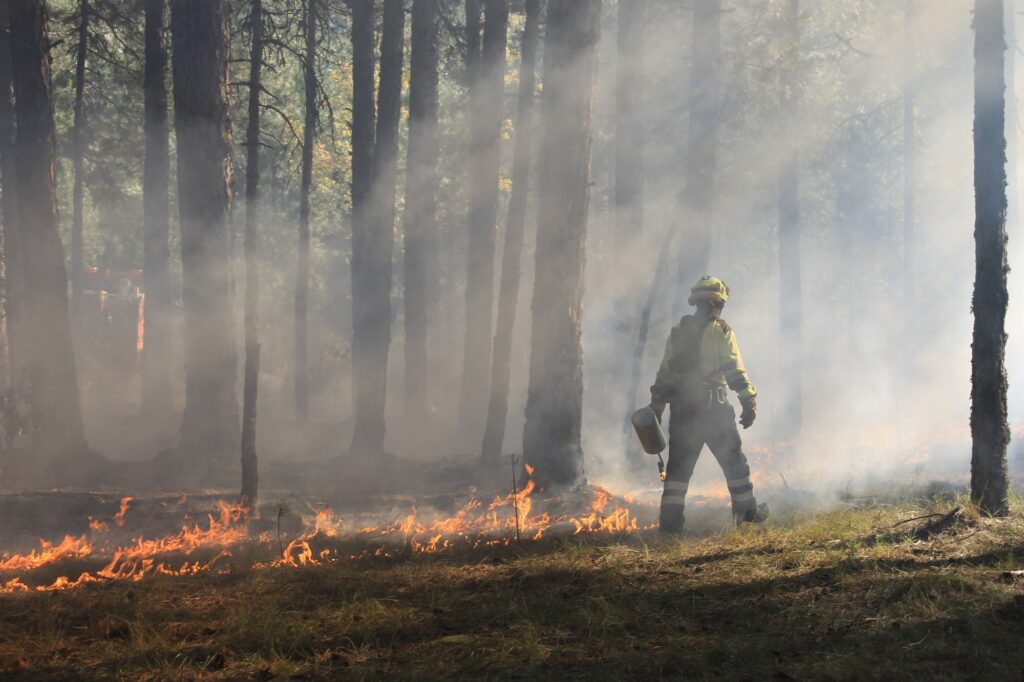 Firefighter doing a counterfire. Cuenca. Spain.